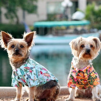 Doggie Design, Inc. Collared Shirts Hawaiian Surfboard & Palms Camp Dog Shirt