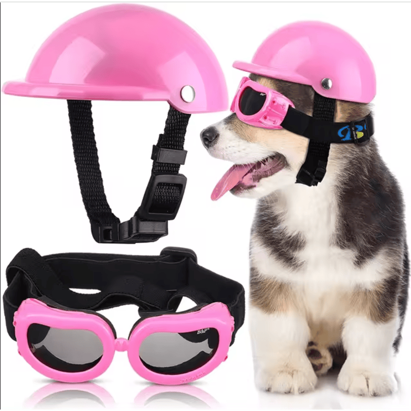 AE Hats Pnk / SM Pet Motorcycle Helmet
