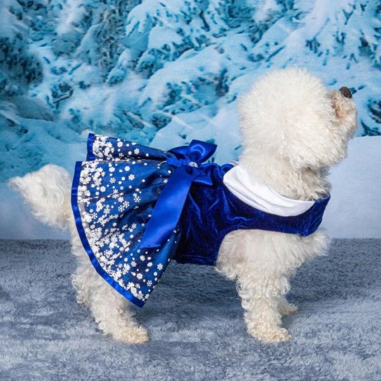Holiday Snowflakes Winter Blue Christmas Dog Harness Dress with Matching Leash