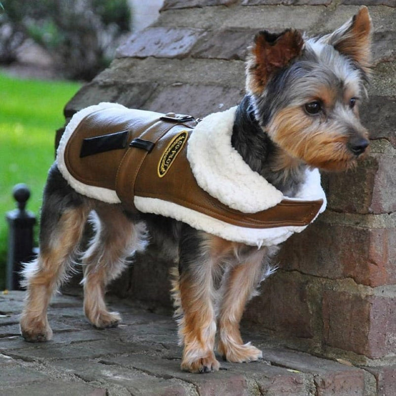 Doggie Design, Inc. Jackets-Coats Brown Bomber Harness Dog Coat with matching Leash