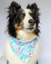 Dog Bandana Co. Summer Beach Dog Bandana