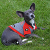Georgia Bulldogs Red/Grey Hoodie Dog Tee