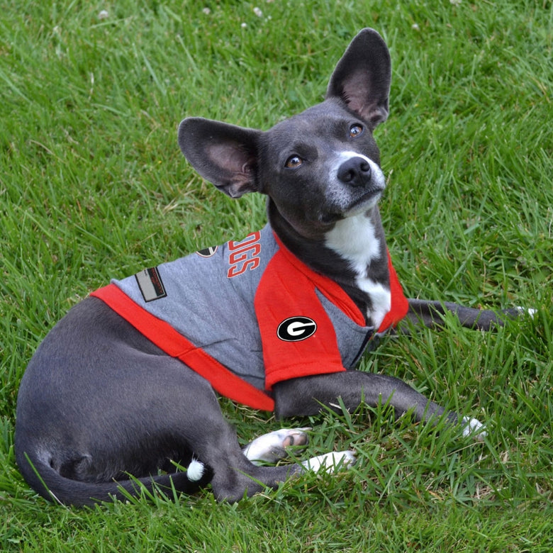 Georgia Bulldogs Red/Grey Hoodie Dog Tee