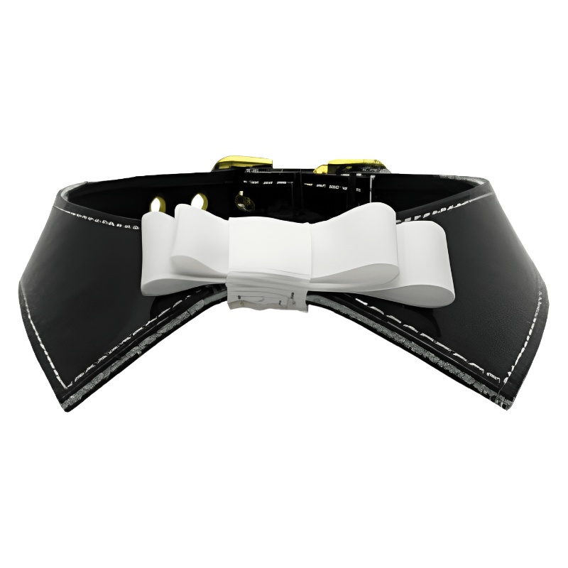 Mirage Pet Products Collars Blk / 10" Johnny Patent Bow Dog Collar - 2 Colors