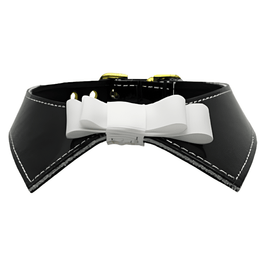 Mirage Pet Products Collars Blk / 10" Johnny Patent Bow Dog Collar - 2 Colors