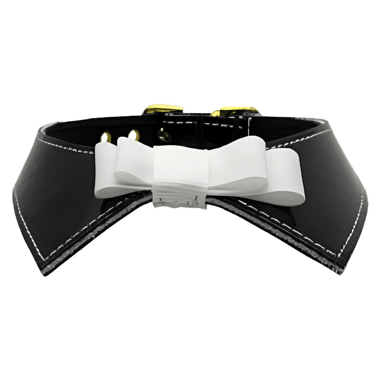 Mirage Pet Products Collars Blk / 10" Johnny Patent Bow Dog Collar - 2 Colors
