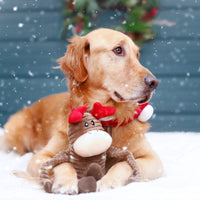 Holiday Crinkle Reindeer Christmas Plush Squeak Dog Toy - 2 Sizes