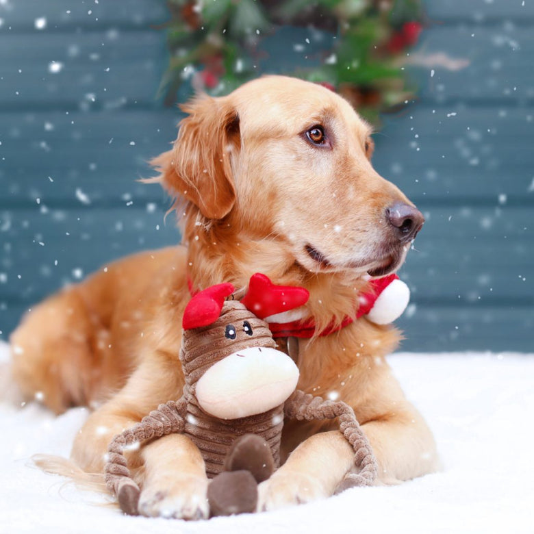 Holiday Crinkle Reindeer Christmas Plush Squeak Dog Toy - 2 Sizes