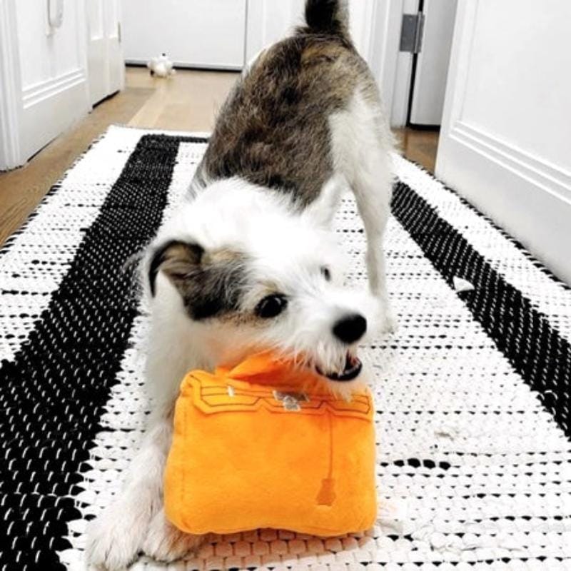 Haute Diggity Dog dog toys Barkin Bag Orange Plush Squeak Dog Toy
