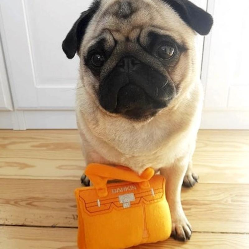 Haute Diggity Dog dog toys Barkin Bag Orange Plush Squeak Dog Toy