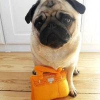 Haute Diggity Dog dog toys Barkin Bag Orange Plush Squeak Dog Toy