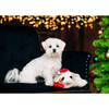 Christmas Holiday Lamb Chop with Santa Hat Plush Squeaky Dog Toy - 6"