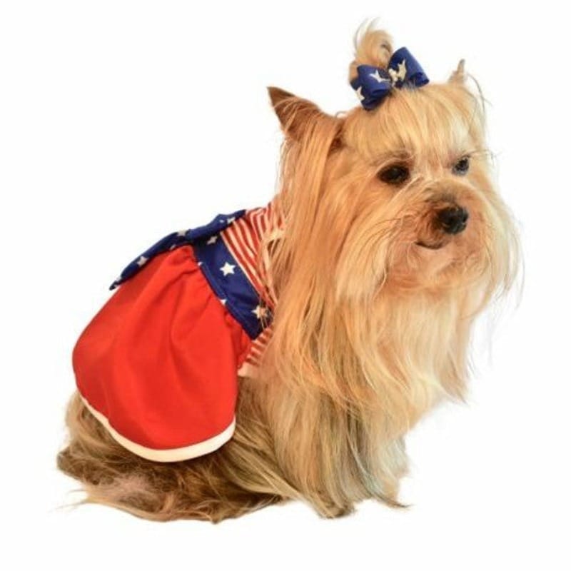 Barker's Bowtique Dresses Max's Closet Americana Flag Pet Dress