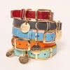 Neighborwoof COLLARS Strawberries and Wine Handcrafted Leather with Gold Hardware Dog Collar