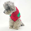 Rudolph Christmas Holiday Red Green Striped Pom Pom Nose Warm Dog Sweater