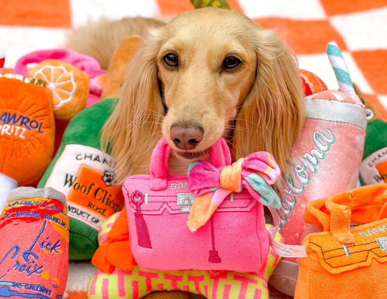 Barkin Bag Pink w/ Scarf Plush Squeaky Dog Toy