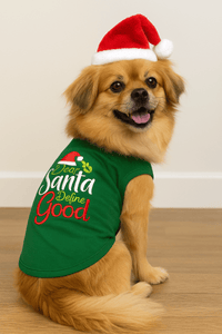 Parisian Pet® Tee's Dear Santa, Define Good Green Christmas Holiday Embroidered Dog T-Shirt