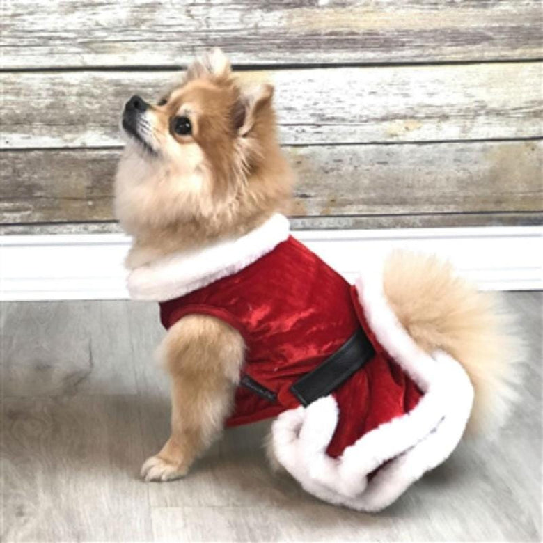 Parisian Pet Dresses Mrs Claus Red Velvet Christmas Pet Dress