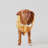 Yellow Super Puff Dog Parka