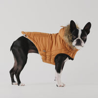 Urban Caramel Dog Parka