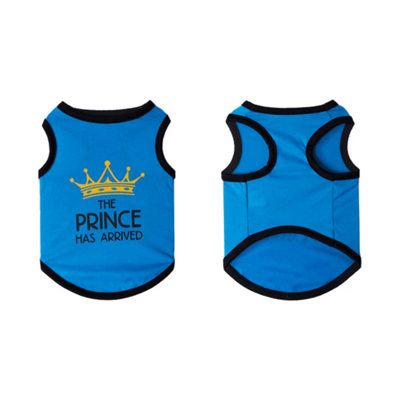 AE dog apparel XS The Prince Has Arrived Blue Dog Tee