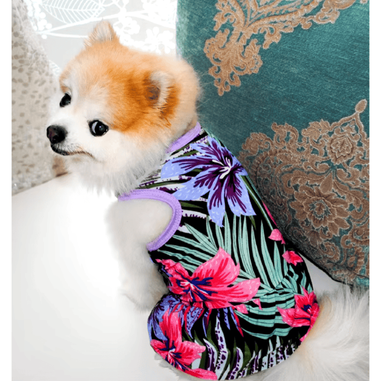 AE DRESSES Flower Spring Pet Dresses in Various Styles