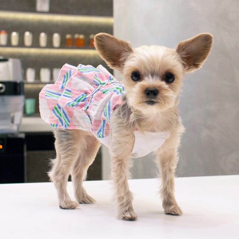 DogoPet.com Light Dress Puzzle Fun Dress