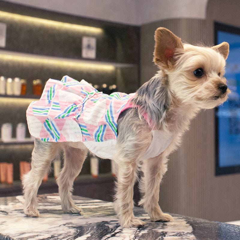 DogoPet.com Light Dress Puzzle Fun Dress
