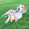 Christmas Holiday Deluxe Reindeer Plush Squeaky Dog Toy