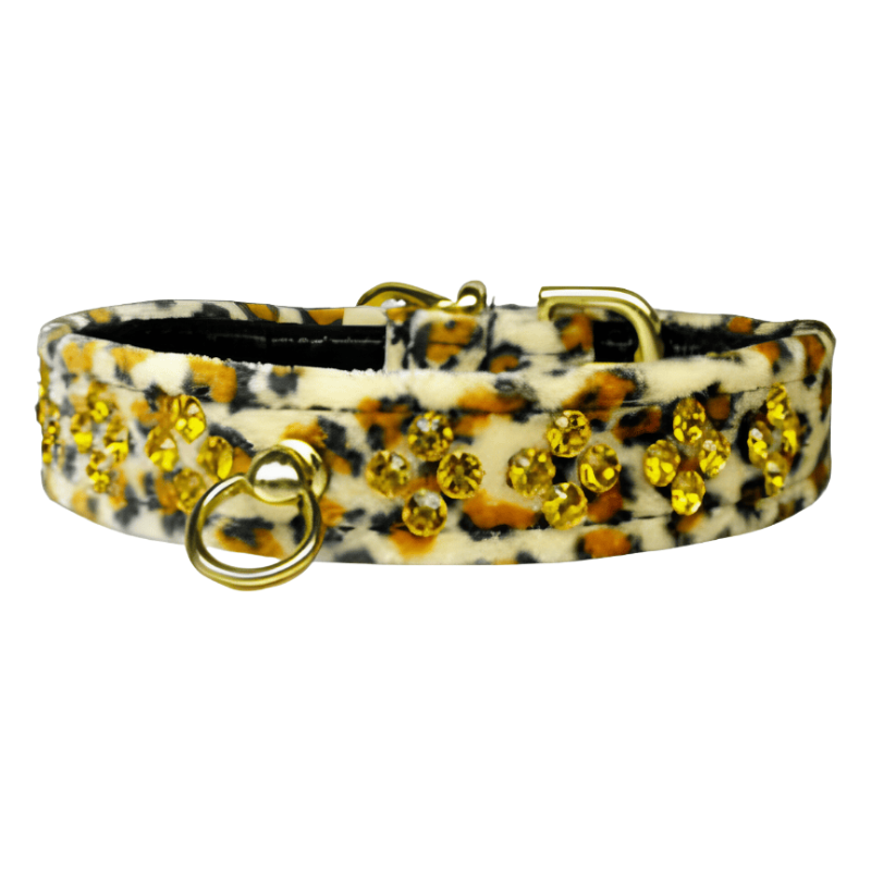 Mirage Pet Products 10" Mirage Pet Products - Sahara Animal Jaguar Print Dog Collar