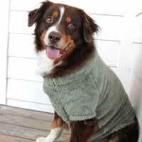 Moss Green Soft Warm Plush Fleece Dog Pullover/ Sweater