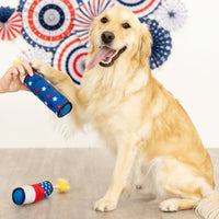 Sparkle On Red Wht & Blue Patriotic Plush Squeaky Rope Dog Toys - 2 Pk
