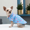 Summer Beach Blue with Colorful Sailboats Dog Shirt