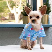Summer Beach Blue with Colorful Sailboats Dog Shirt