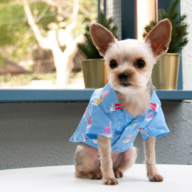 Summer Beach Blue with Colorful Sailboats Dog Shirt
