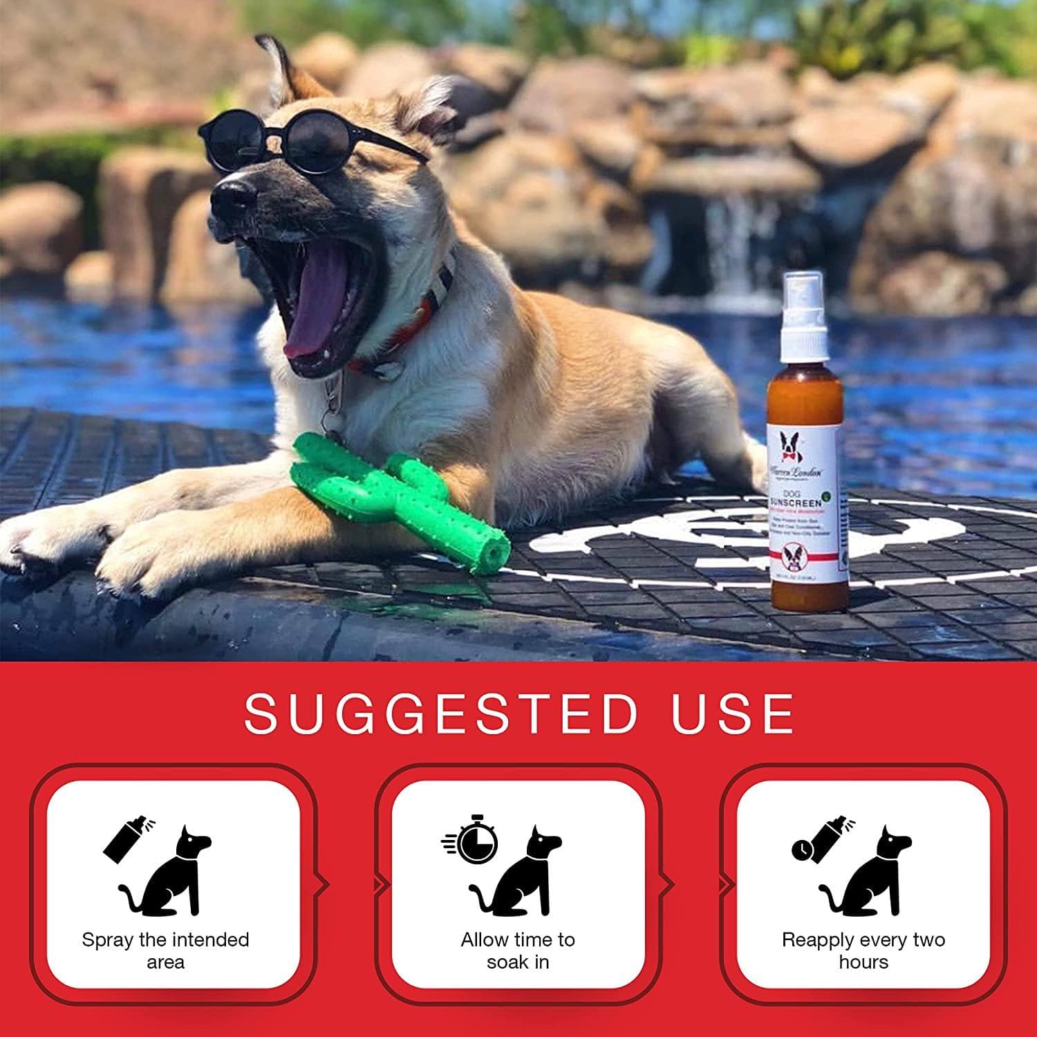 Warren London Spa Product Dog Sunscreen With Aloe Vera Moisturizer