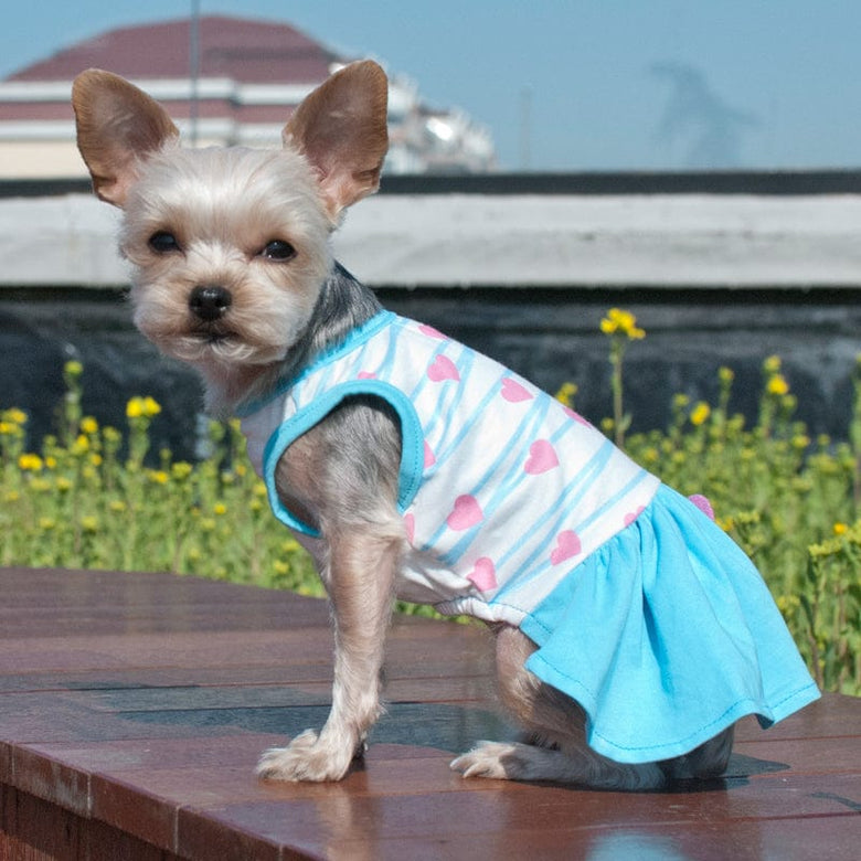 DogoPet.com Light Dress Sweet Heart Dress