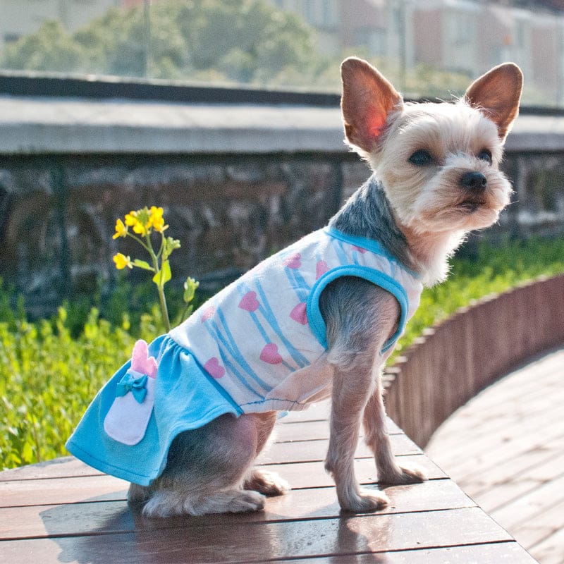 DogoPet.com Light Dress Sweet Heart Dress