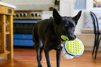 Barktender Pup-Arita with Lime Crinkle Plush Squeaky Dog Toy
