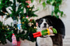 Merry Woofmas Santa's Little Elf-er Plush Squeaky Holiday Dog Toy