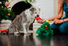 Merry Woofmas Doglas Fur Christmas Holiday Plush Dog Toy Set - 4 Pc