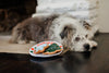 Merry Woofmas Christmas Eve Cookies Plush Squeaky Holiday Dog Toy Set - 3 Pc