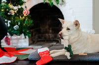 Merry Woofmas Good Dog Stocking Christmas Holiday Plush Dog Toy Set - 2Pc