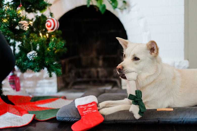 Merry Woofmas Good Dog Stocking Christmas Holiday Plush Dog Toy Set - 2Pc