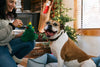 Merry Woofmas Doglas Fur Christmas Holiday Plush Dog Toy Set - 4 Pc