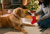 Merry Woofmas Good Dog Stocking Christmas Holiday Plush Dog Toy Set - 2Pc