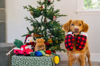 Home For the Holidays Paw Warmers Christmas Plush Squeakers Dog Toy