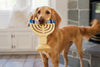 Paw-nukkah Menorah Plush Squeaky Hanukkah Holiday Dog Toy