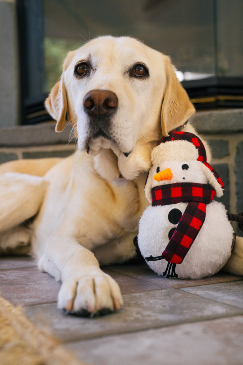 Home for the Holidays Blizzard Buddy Christmas Snowman Plush Squeak Dog Toy