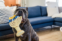 Paw-nukkah Menorah Plush Squeaky Hanukkah Holiday Dog Toy